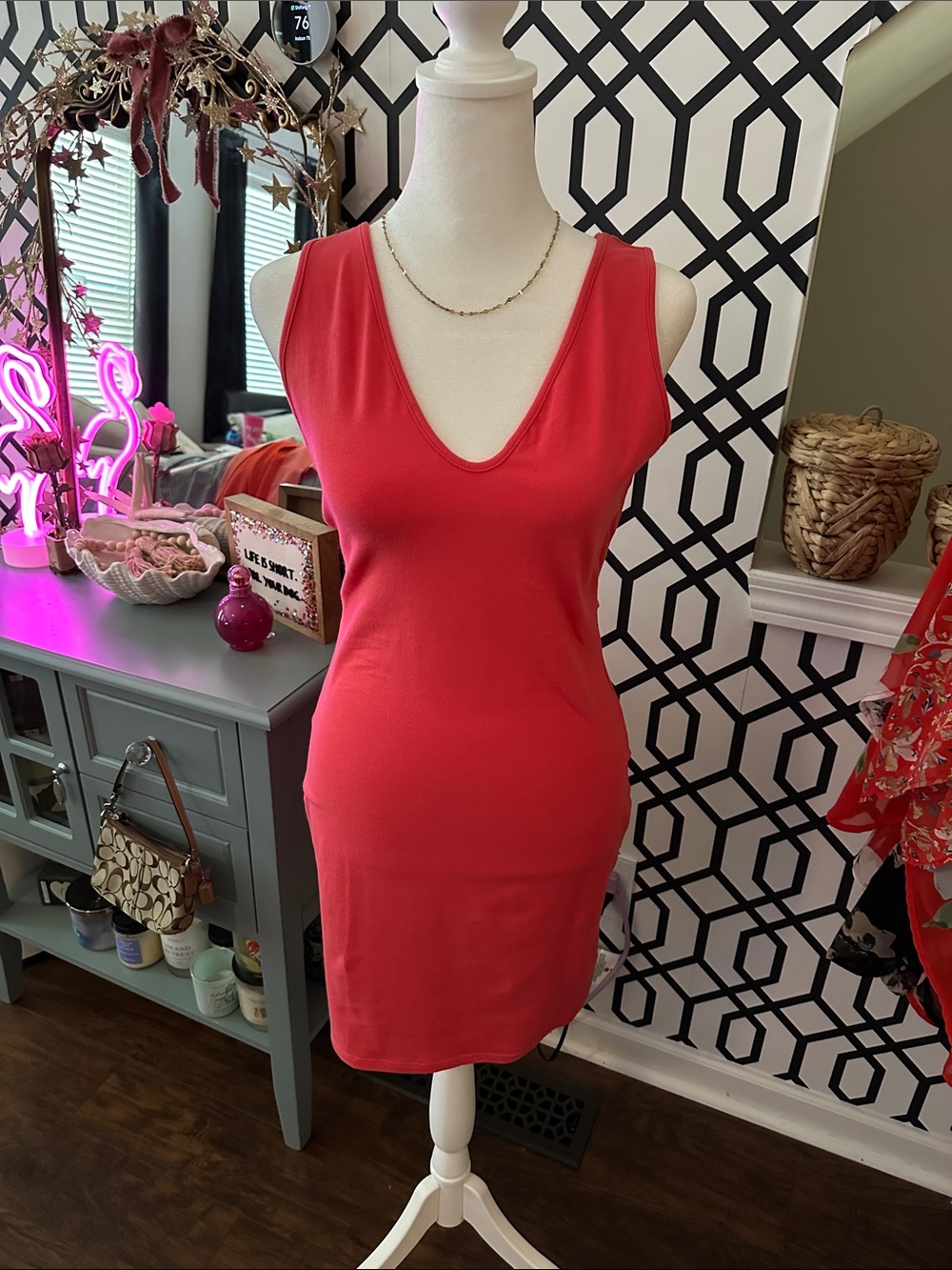 wild fable Bright Red Sleeveless V-Neck Mini Dress